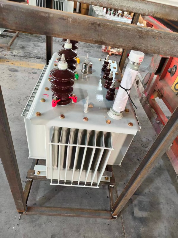 S13‑1000kVA <a href='https://wangjiang.xdbyq.cn/youjinshi/' target='_blank' title='望江油浸式变压器'><strong>望江油浸式变压器</strong></a> 大型厂区 S13 望江望江望江油浸式变压器 S13‑1000kVA 望江望江望江油浸式变压器 大型厂区 S13 望江望江望江油浸式变压器